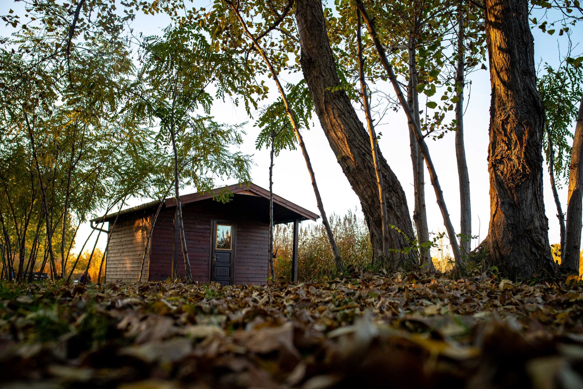 Gyáli Horgászpark - horgásztó pest megye