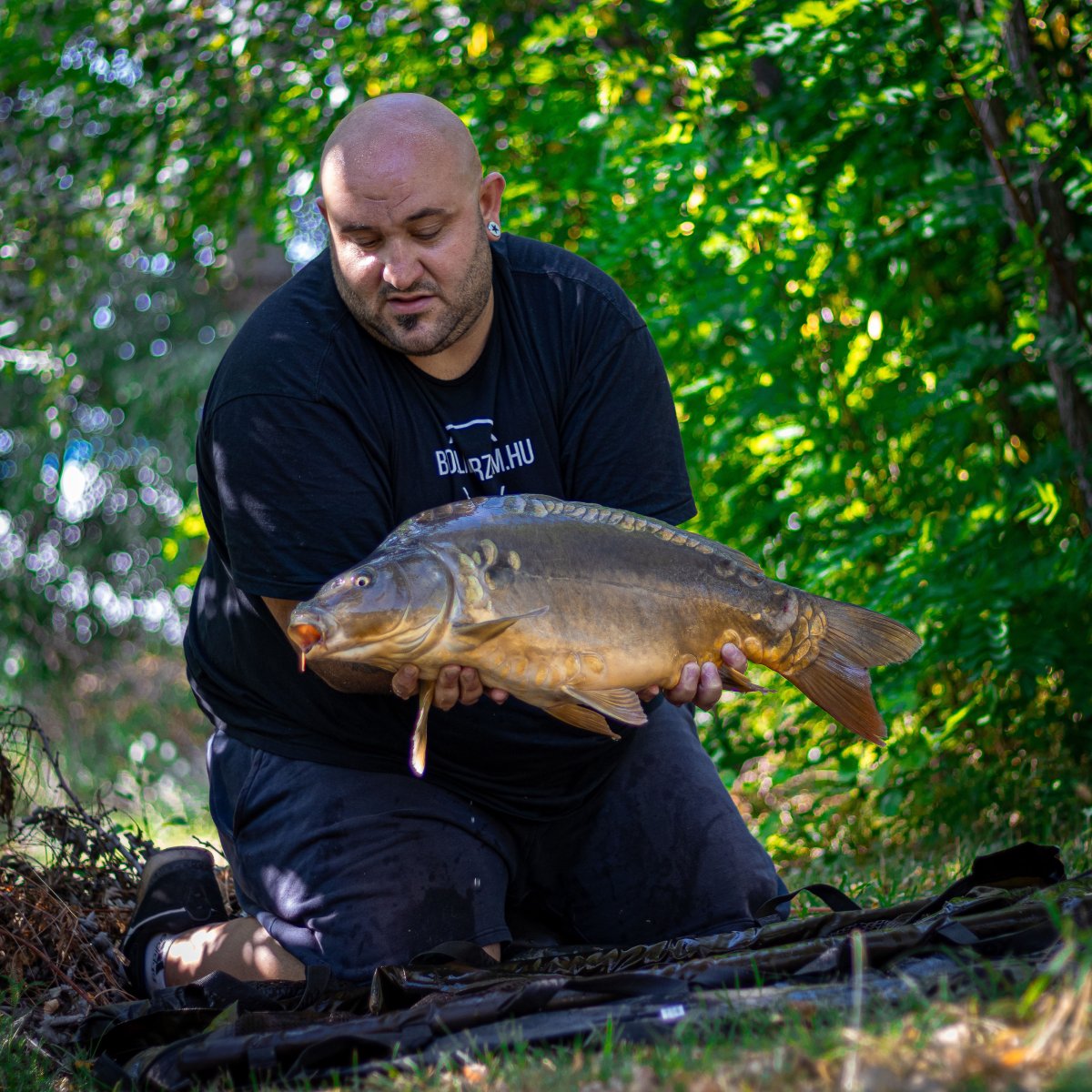 Gyáli Horgászpark faházas horgásztó pest megyében