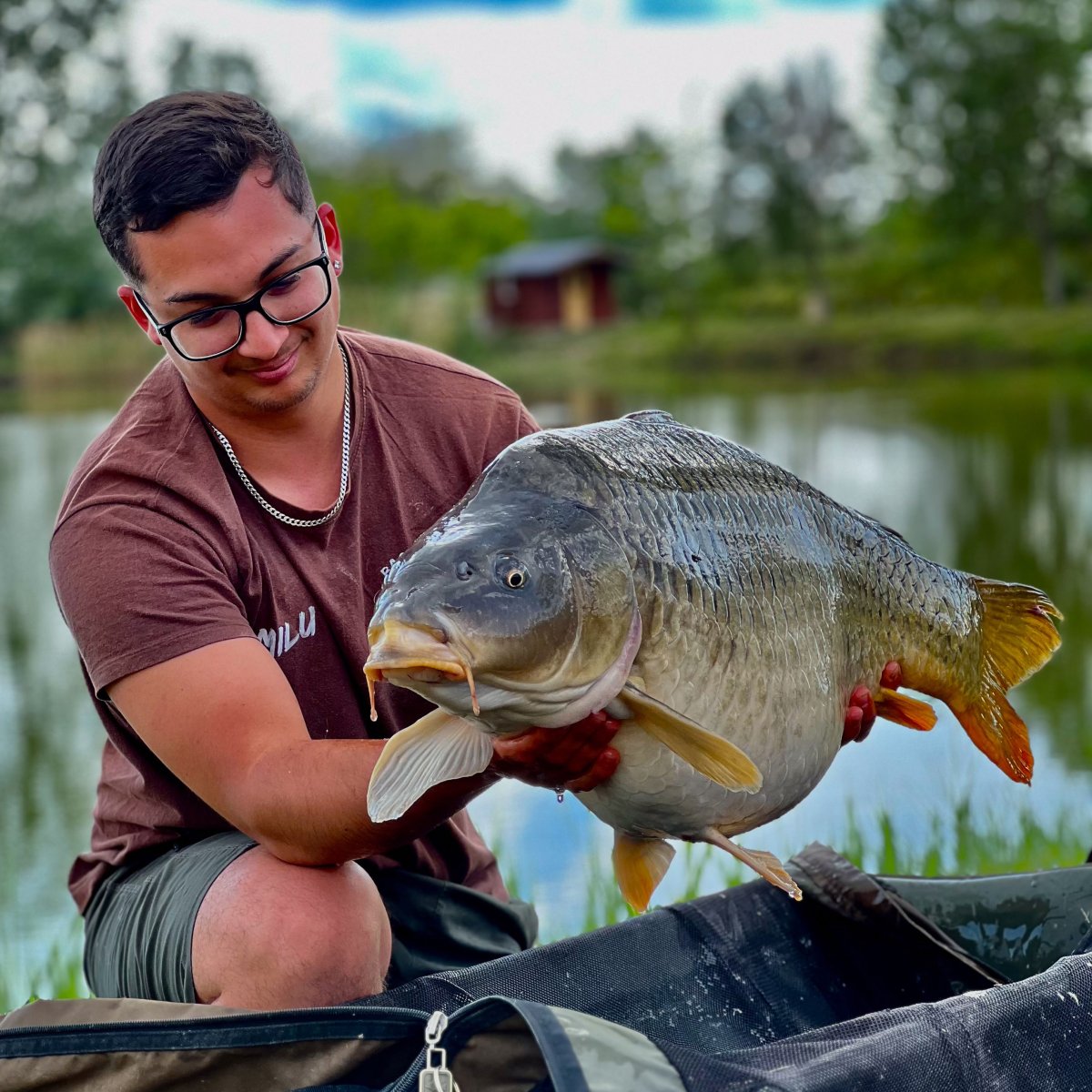 Gyáli Horgászpark 15+ ponty