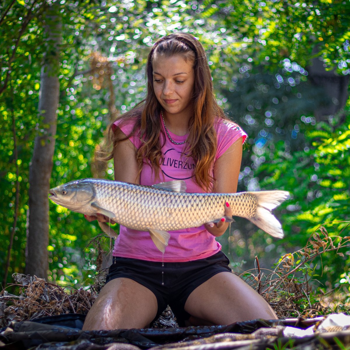 Gyáli Horgászpark amur