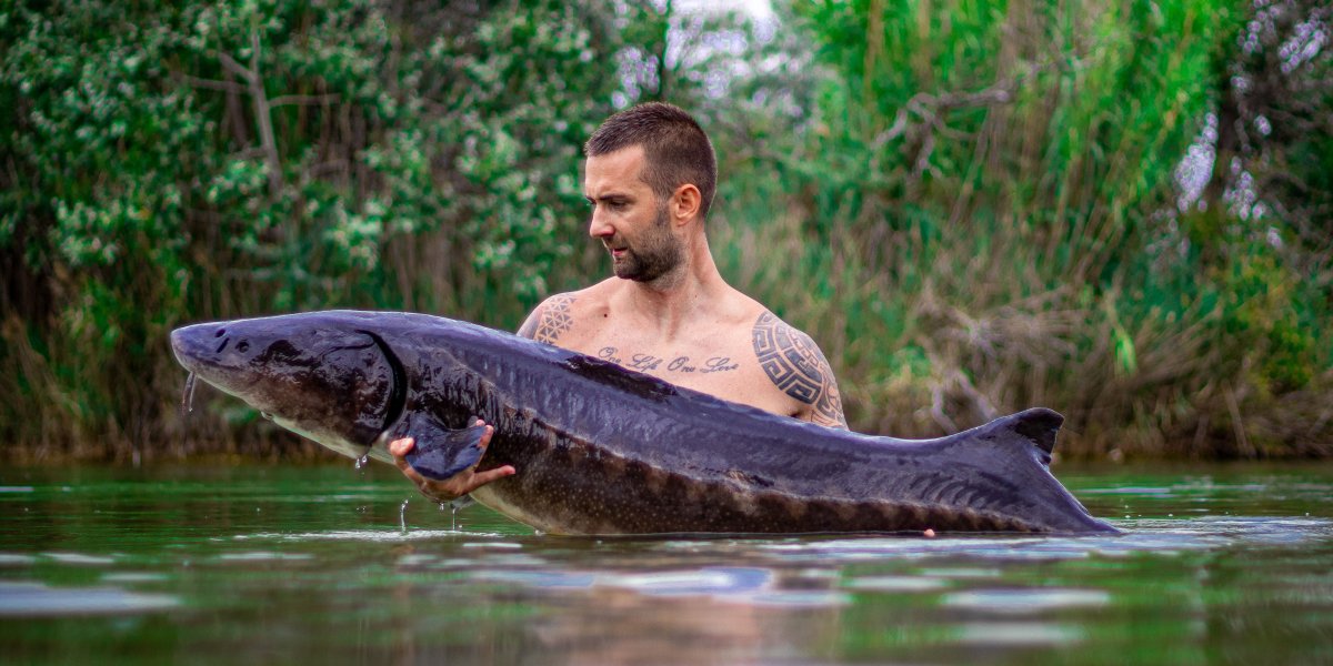 Gyáli Horgászpark fehértok