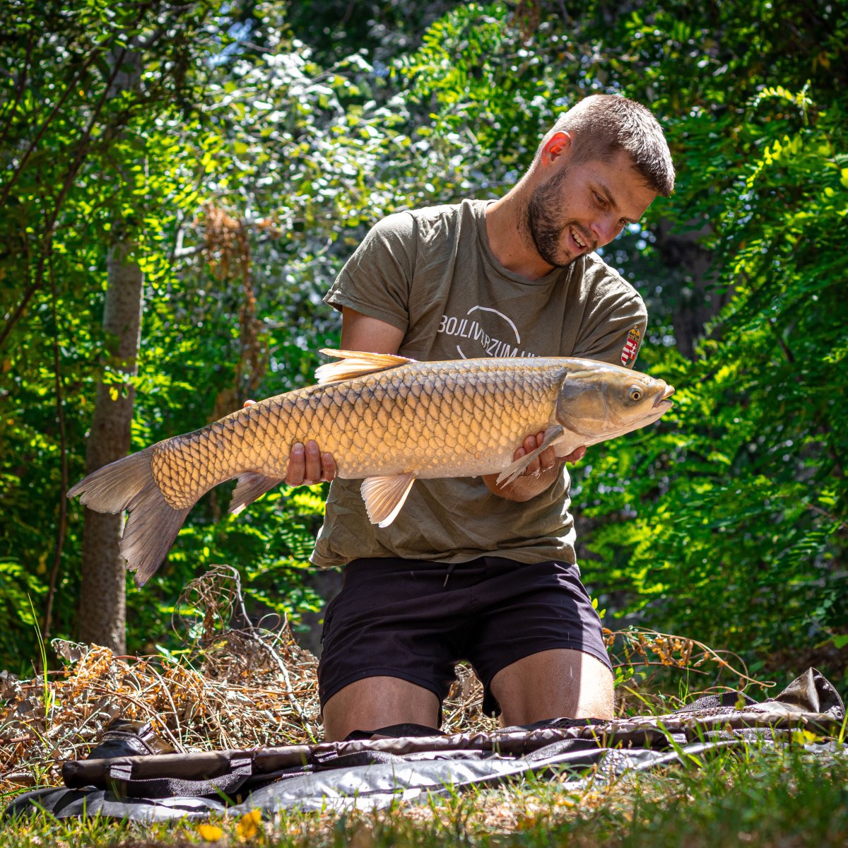 Gyáli Horgászpark amurozás